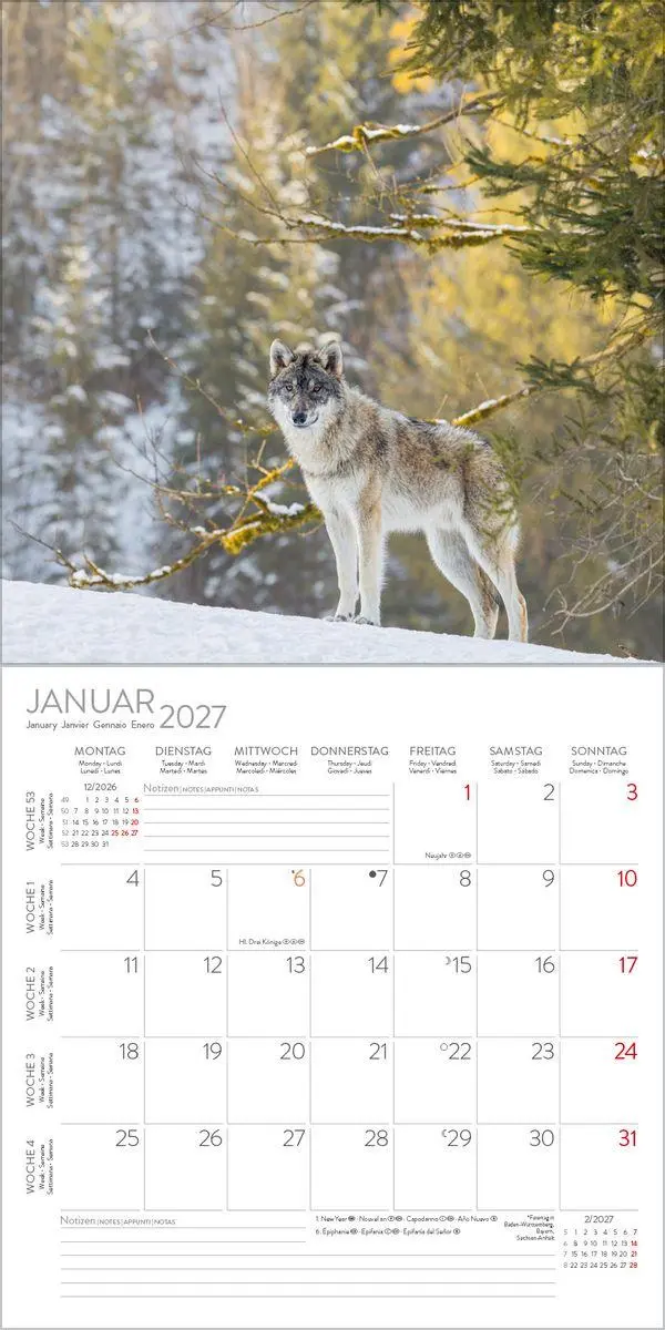 Bild: 9783819303920 | Wölfe 2027 | Verlag Korsch | Kalender | 13 S. | Deutsch | 2027