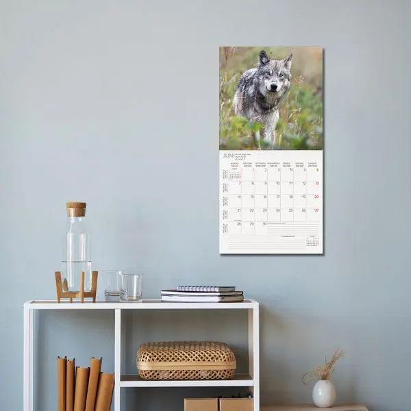 Bild: 9783819303920 | Wölfe 2027 | Verlag Korsch | Kalender | 13 S. | Deutsch | 2027