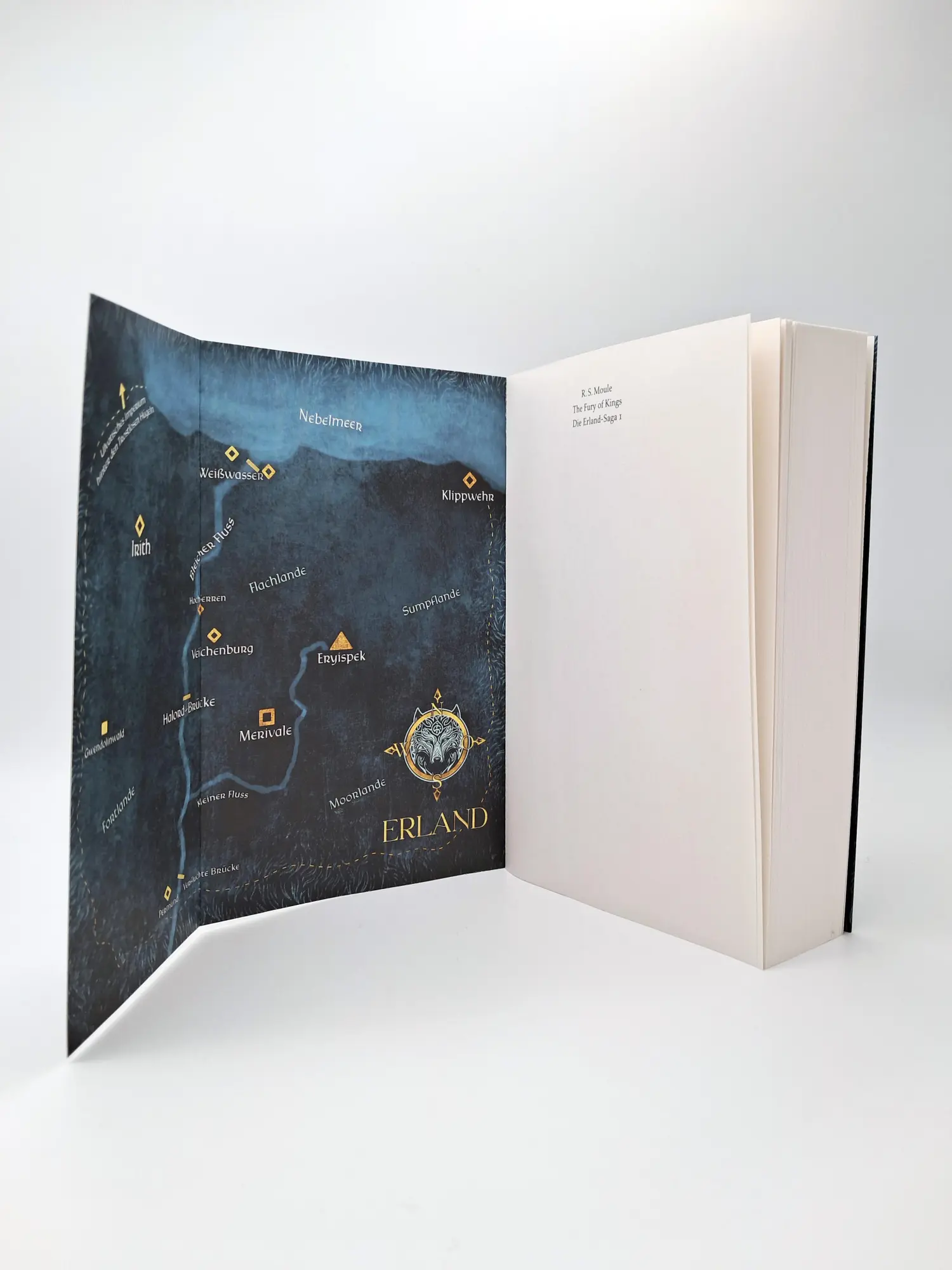 Bild: 9783423264020 | The Fury of Kings | R. S. Moule | Taschenbuch | Erland-Saga (dtv)