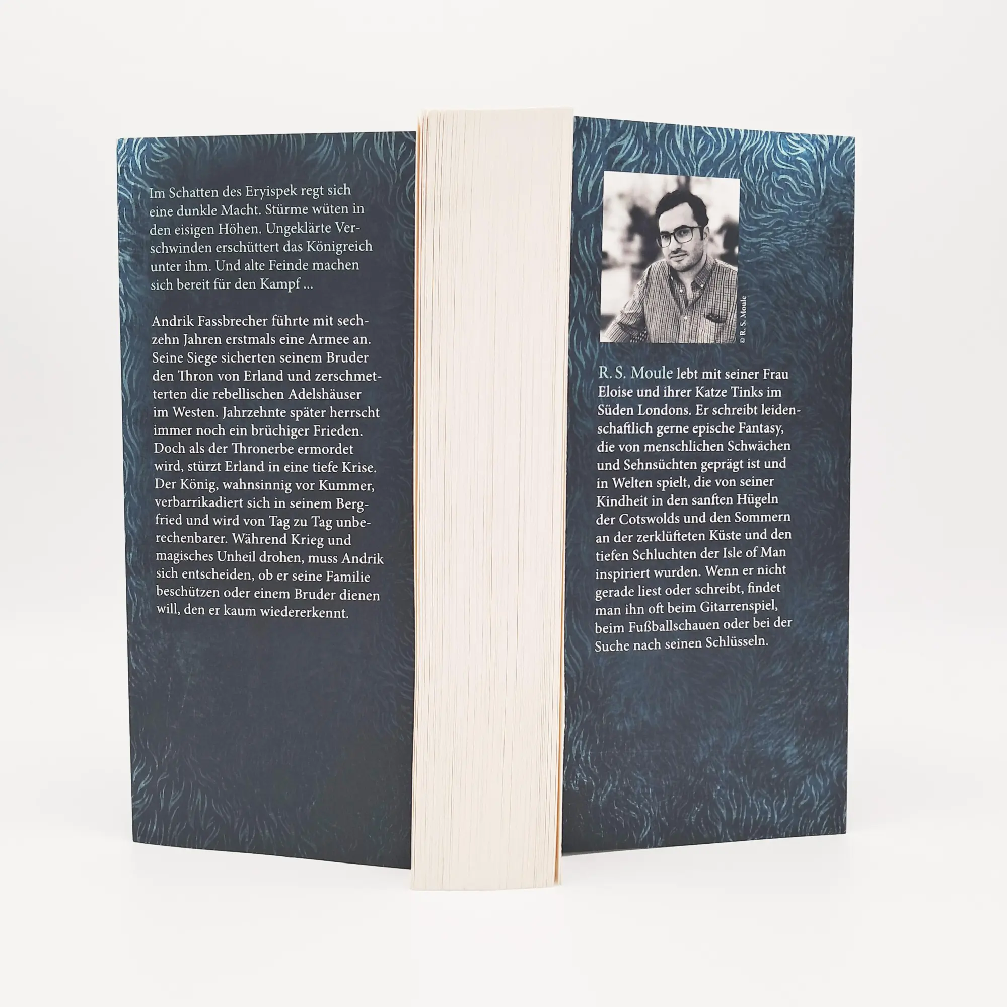 Bild: 9783423264020 | The Fury of Kings | R. S. Moule | Taschenbuch | Erland-Saga (dtv)