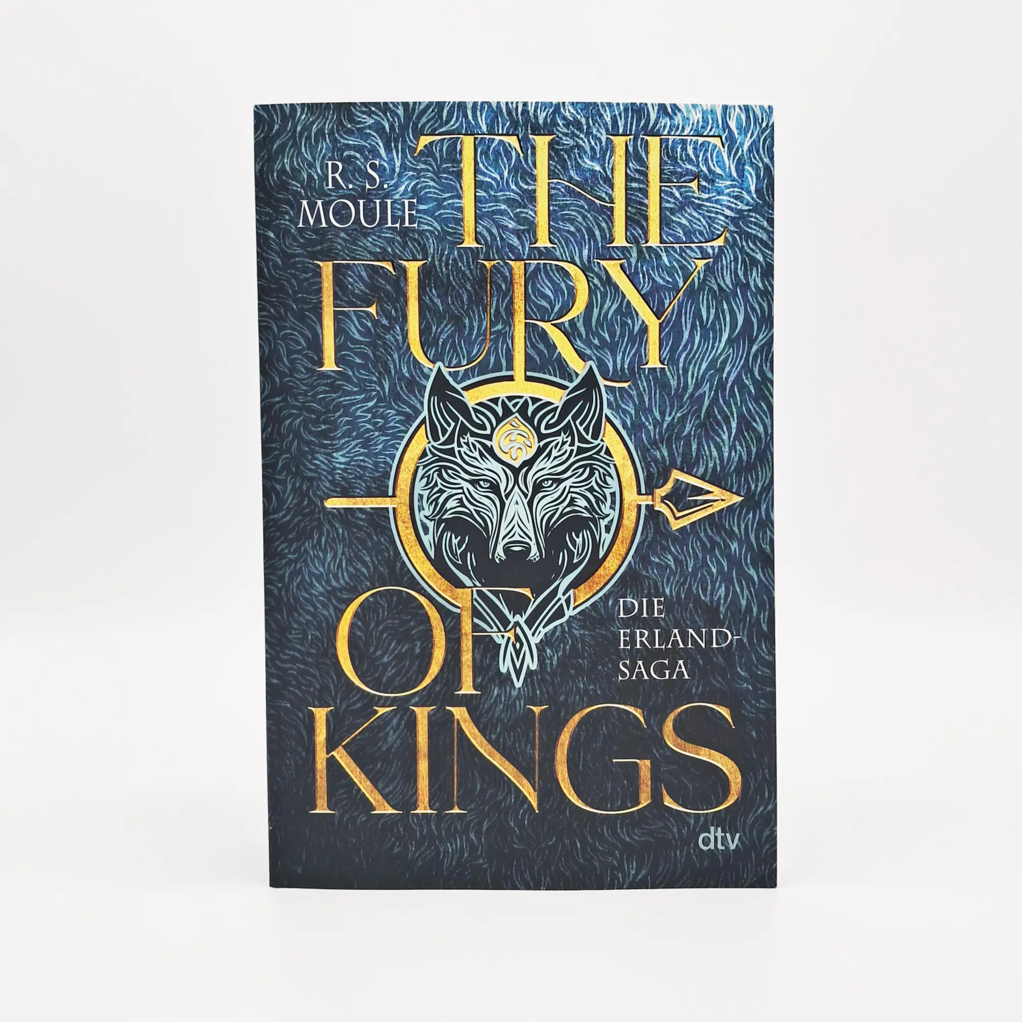Bild: 9783423264020 | The Fury of Kings | R. S. Moule | Taschenbuch | Erland-Saga (dtv)