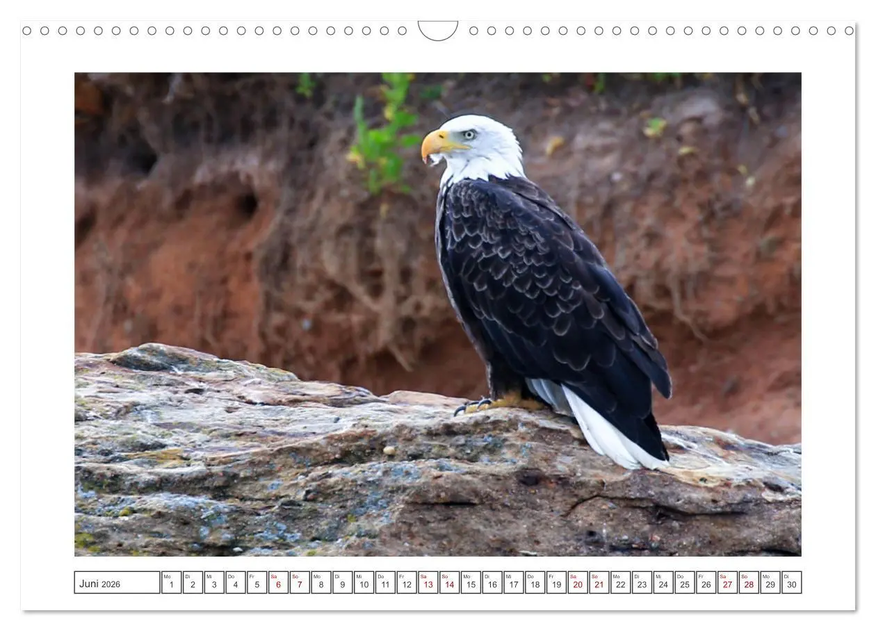 Bild: 9783457914120 | Nova Scotia - Neue Bilderreise durch Kanadas Osten (Wandkalender...