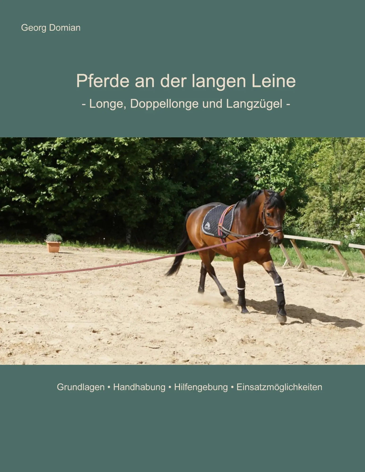 Cover: 9783819284120 | Pferde an der langen Leine | Longe, Doppellonge und Langzügel | Domian