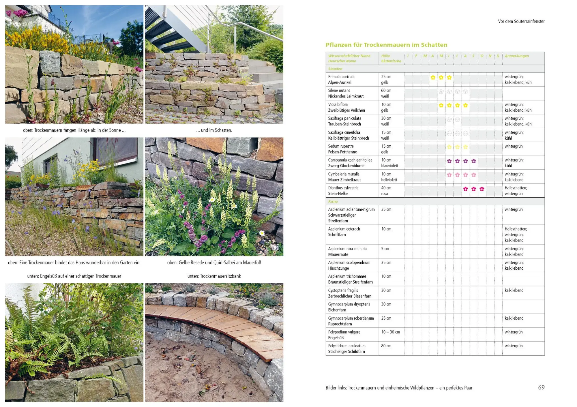 Bild: 9783895664120 | Kleiner Garten naturnah | Ulrike Aufderheide | Buch | 176 S. | Deutsch