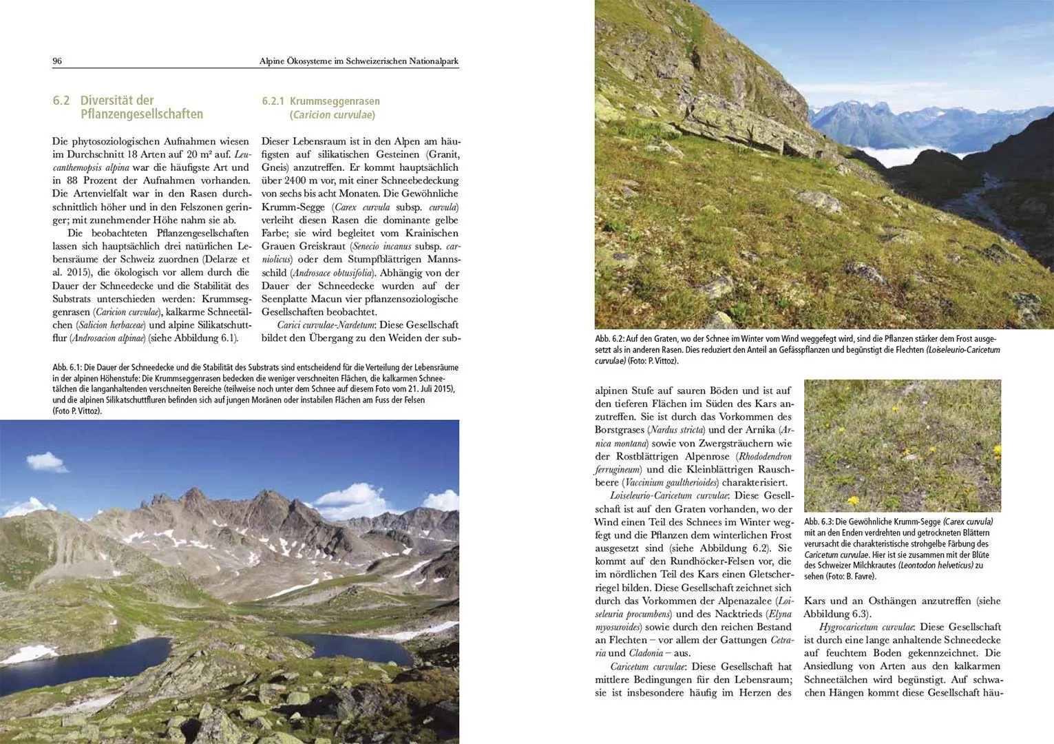 Bild: 9783258084220 | Alpine Ökosysteme im Schweizerischen Nationalpark | Gubler (u. a.)