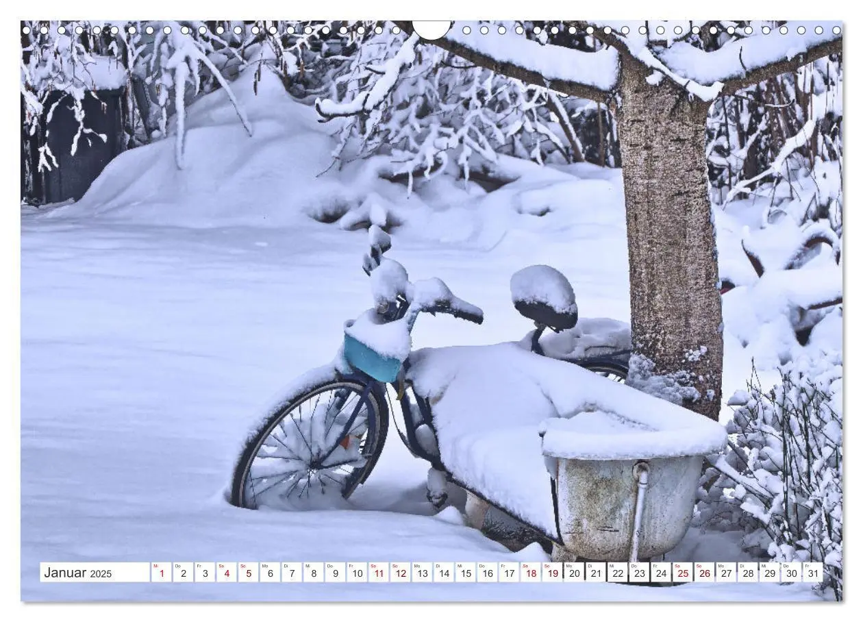 Bild: 9783383964220 | Fahr mal wieder Fahrrad (Wandkalender 2025 DIN A3 quer), CALVENDO...