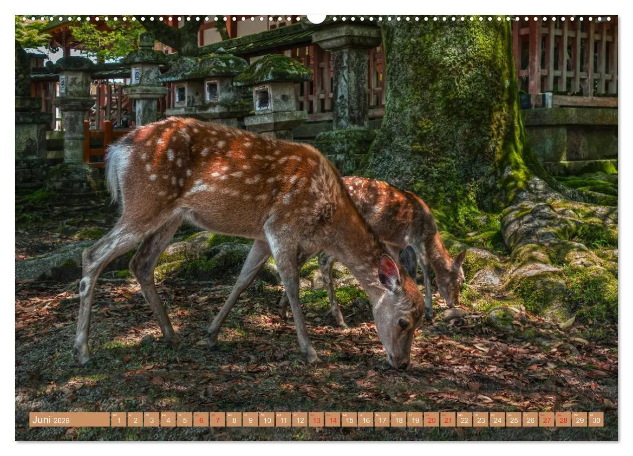 Bild: 9783457384220 | Japan - Land der Vielfalt (hochwertiger Premium Wandkalender 2026...
