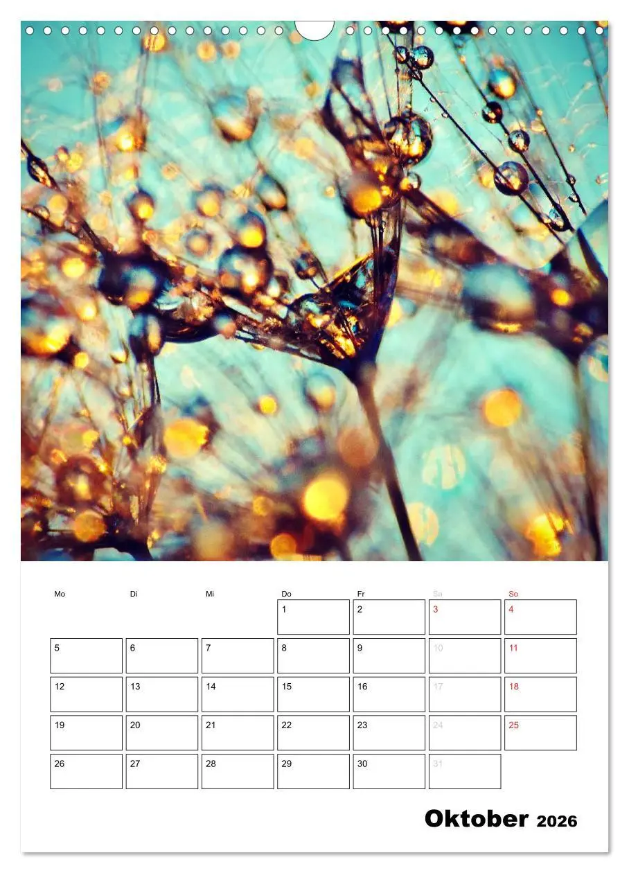 Bild: 9783516474220 | Pusteblumentraum - Dreams of Dandelion (Wandkalender 2026 DIN A3...