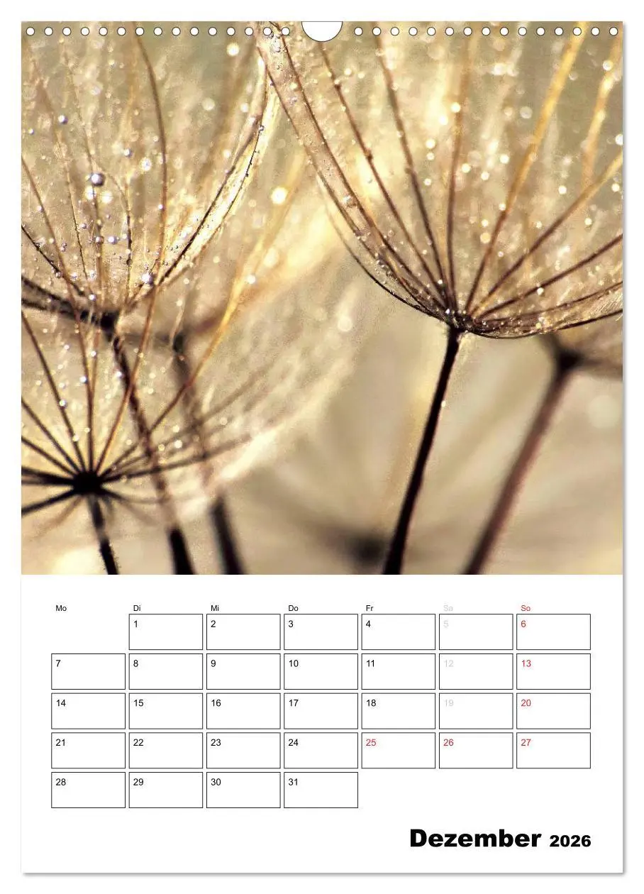 Bild: 9783516474220 | Pusteblumentraum - Dreams of Dandelion (Wandkalender 2026 DIN A3...