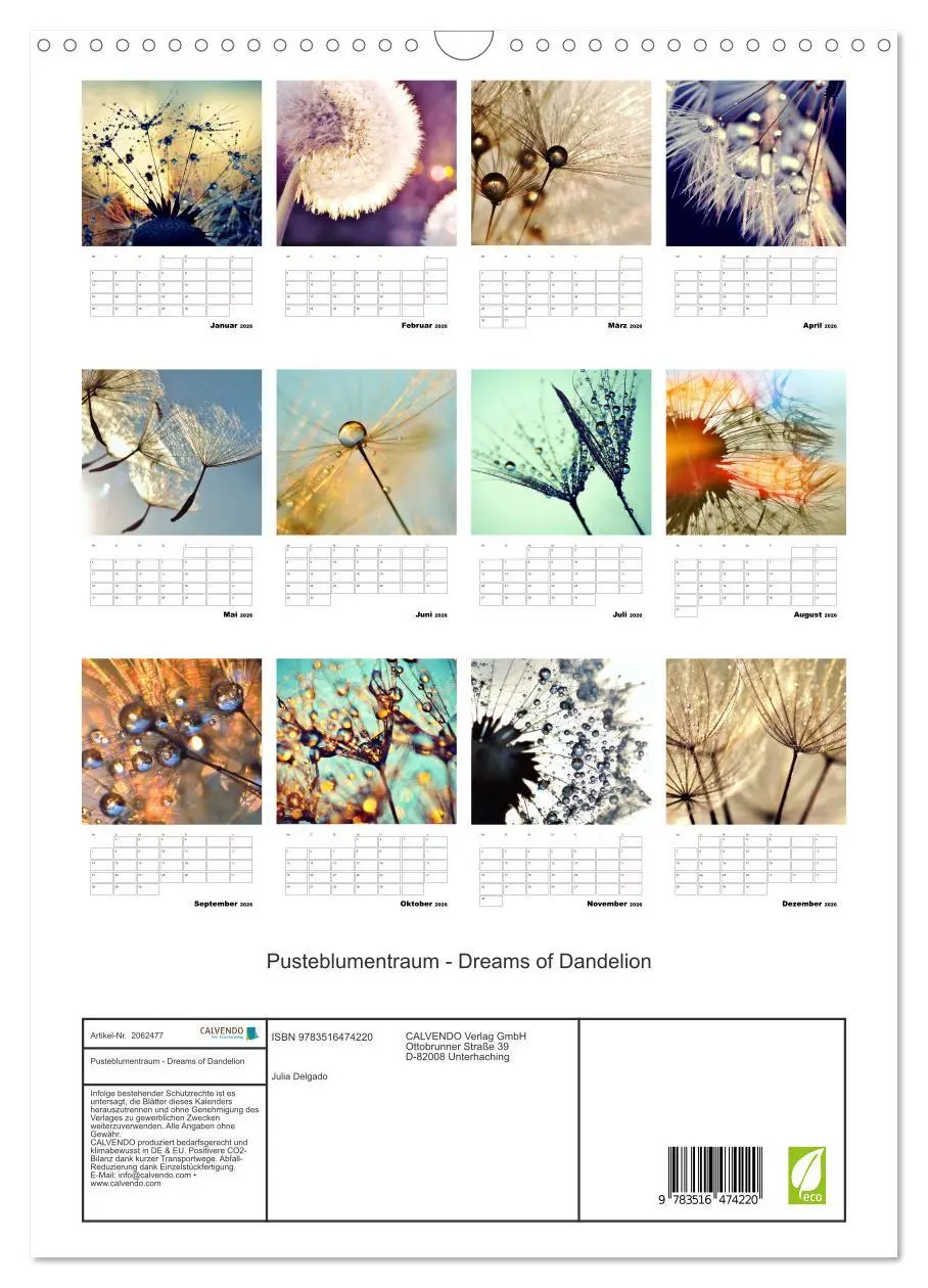 Bild: 9783516474220 | Pusteblumentraum - Dreams of Dandelion (Wandkalender 2026 DIN A3...