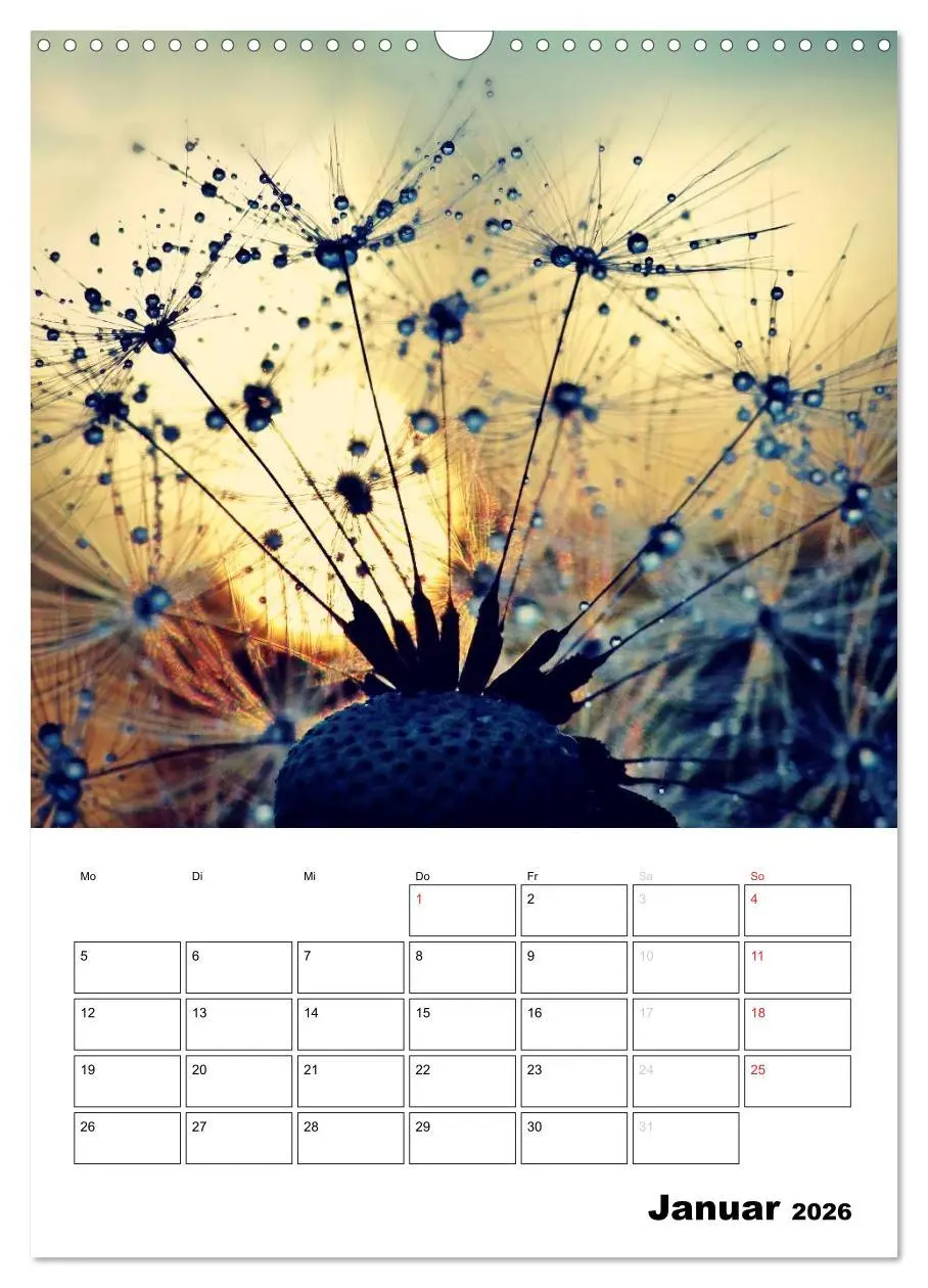 Bild: 9783516474220 | Pusteblumentraum - Dreams of Dandelion (Wandkalender 2026 DIN A3...