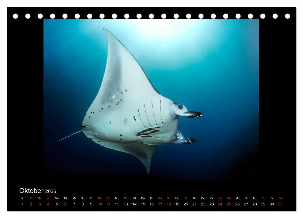 Bild: 9783516154320 | Ocean-Art / CH-Version (Tischkalender 2026 DIN A5 quer), CALVENDO...