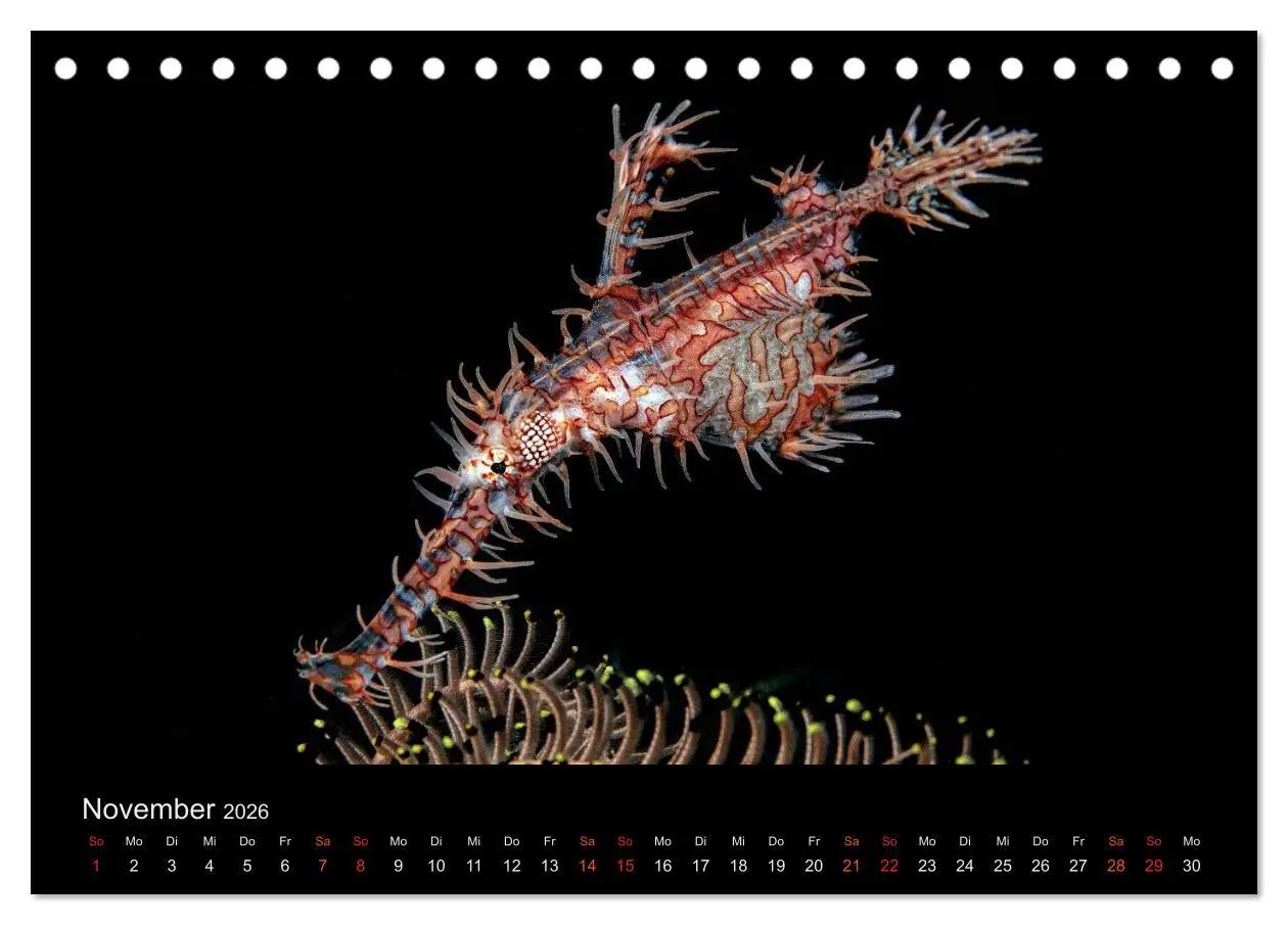 Bild: 9783516154320 | Ocean-Art / CH-Version (Tischkalender 2026 DIN A5 quer), CALVENDO...