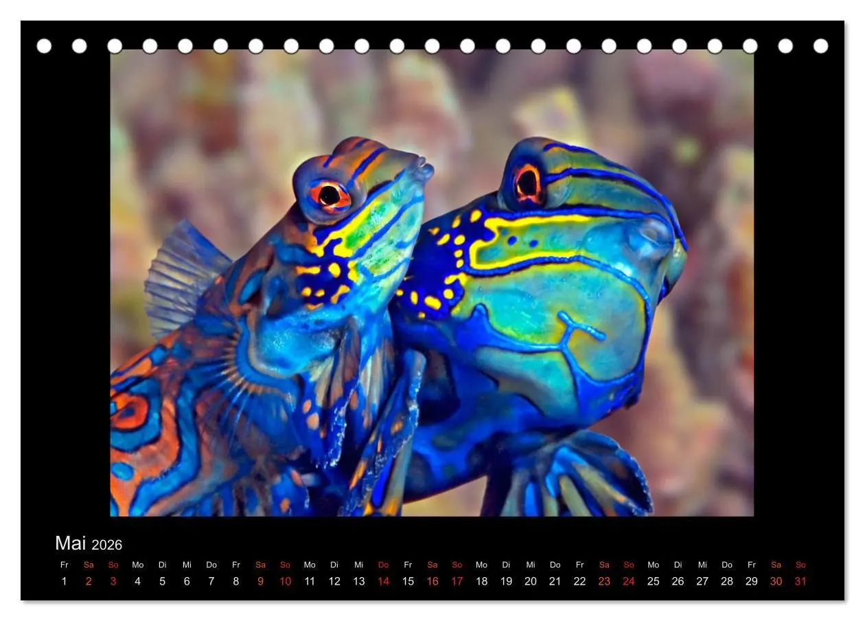Bild: 9783516154320 | Ocean-Art / CH-Version (Tischkalender 2026 DIN A5 quer), CALVENDO...