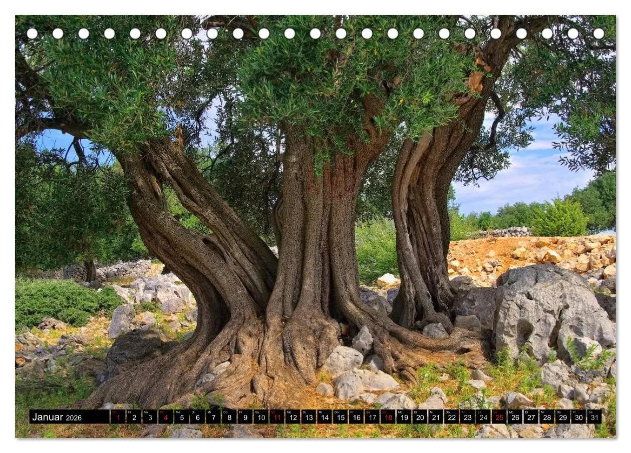 Bild: 9783516144420 | Kvarner Golf - Kroatien (Tischkalender 2026 DIN A5 quer), CALVENDO...