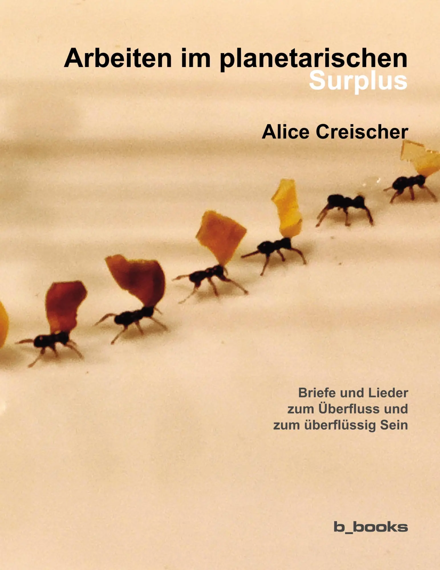 Cover: 9783942214520 | Arbeiten im planetarischen Surplus | Alice Creischer | Taschenbuch