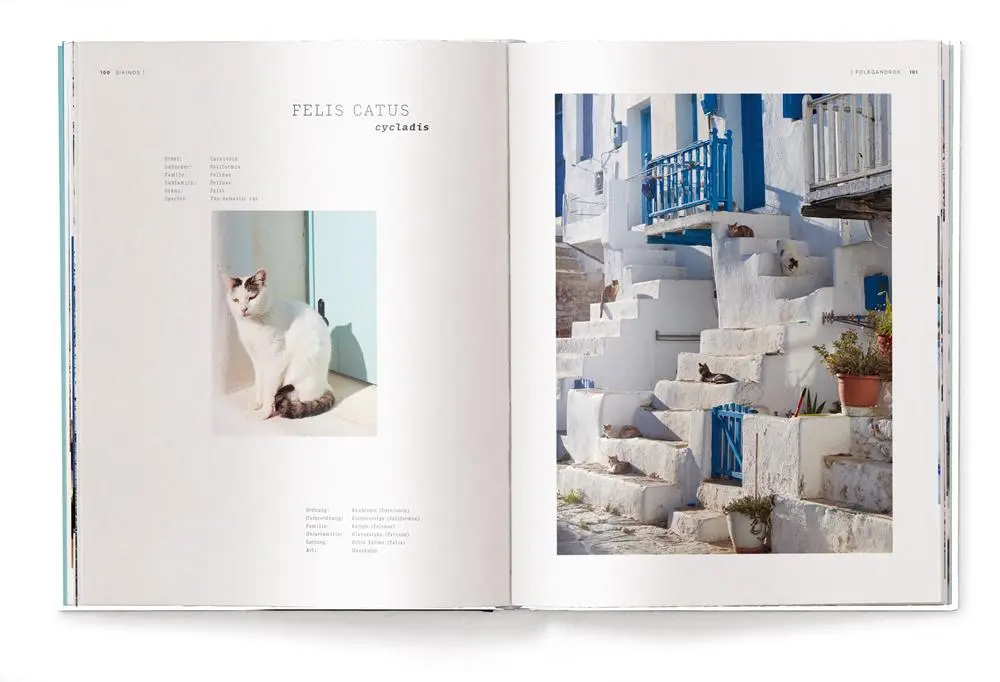 Bild: 9783961714520 | Kykladen | Inselparadies im Griechischen Meer | Rudi Sebastian | Buch
