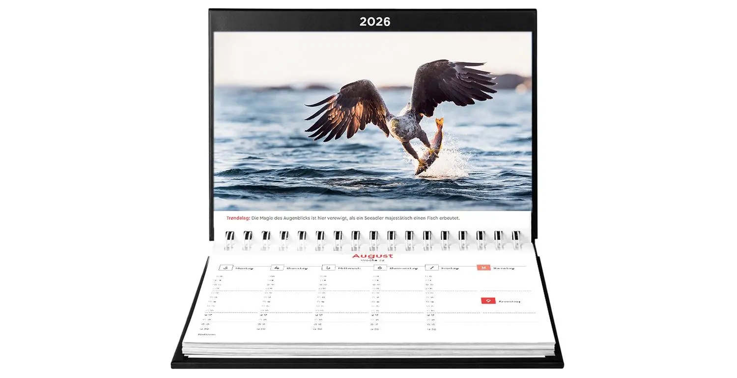 Bild: 9783965914520 | Hurtigruten - KUNTH Tischkalender 2026 | Kalender | 54 S. | Deutsch