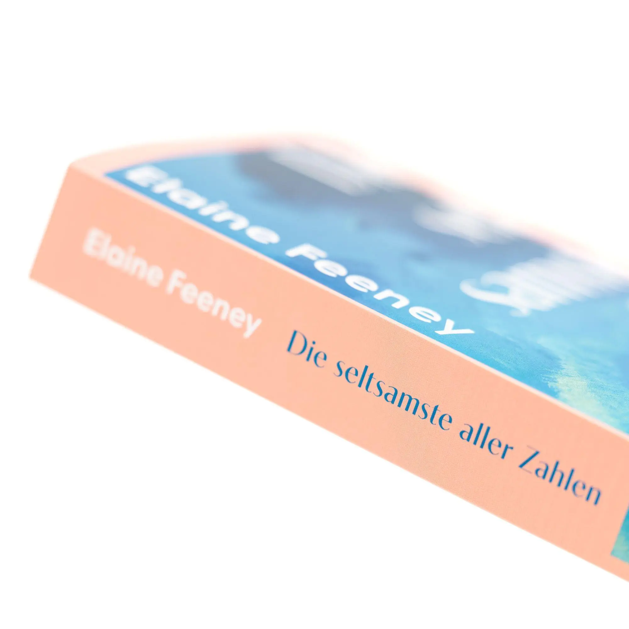 Bild: 9783312014620 | Die seltsamste aller Zahlen | Elaine Feeney | Taschenbuch | 320 S.