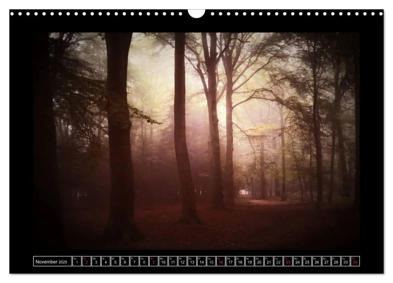 Bild: 9783435494620 | Der Reichswald bei Kleve (Wandkalender 2025 DIN A3 quer), CALVENDO...