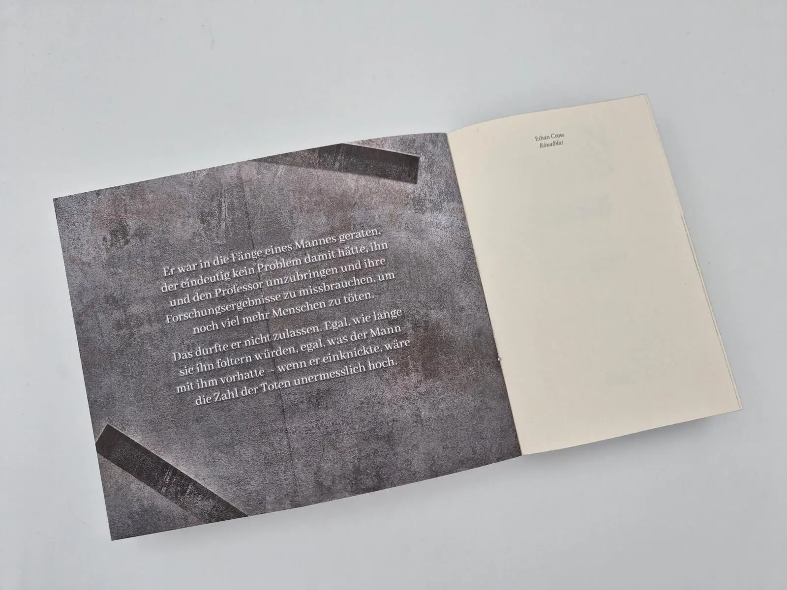 Bild: 9783492064620 | Ritualblut | Ethan Cross | Taschenbuch | Baxter-Kincaid-Reihe | 448 S.