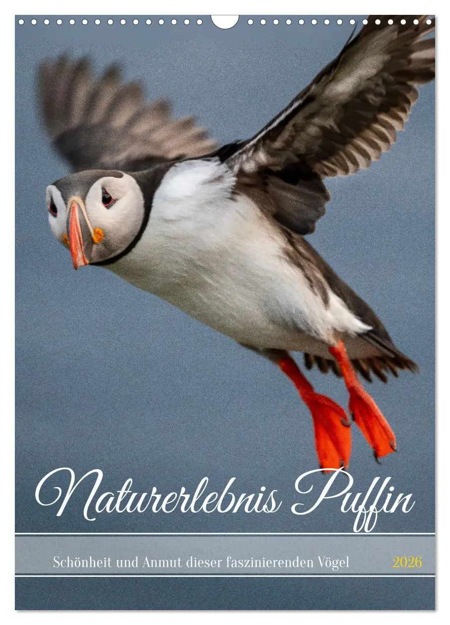 Cover: 9783516294620 | Naturerlebnis Puffin (Wandkalender 2026 DIN A3 hoch), CALVENDO...