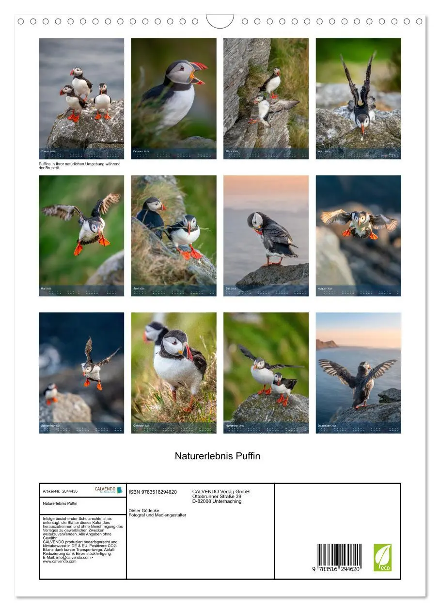 Bild: 9783516294620 | Naturerlebnis Puffin (Wandkalender 2026 DIN A3 hoch), CALVENDO...