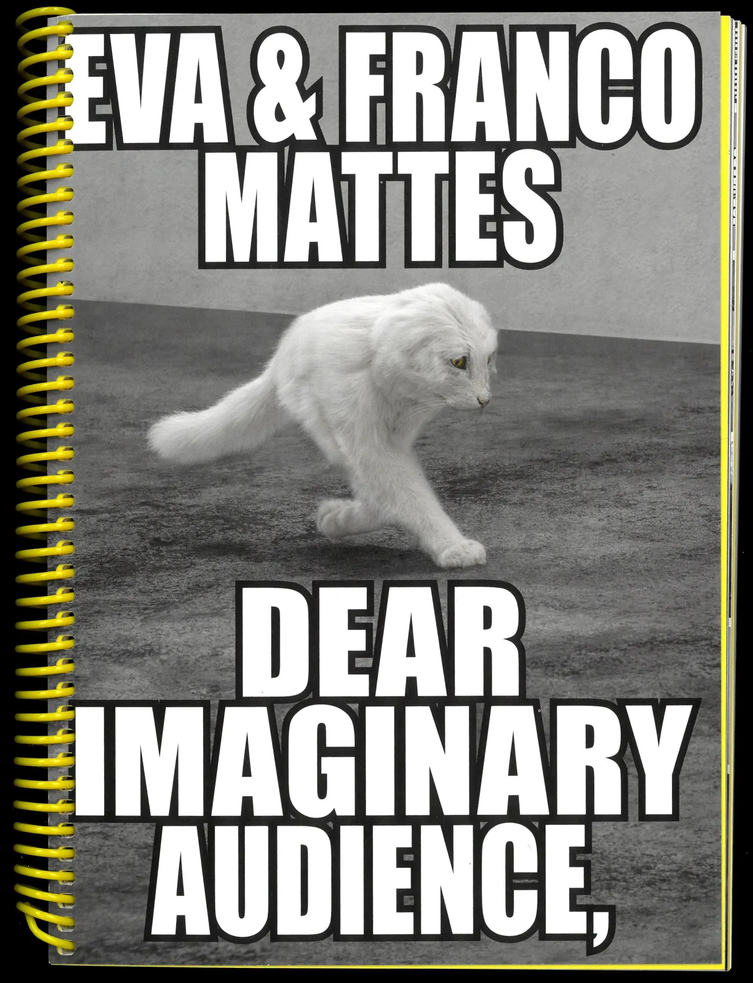 Cover: 9783959054720 | Eva &amp; Franco Mattes. Dear Imaginary Audience | Arcangel | Taschenbuch
