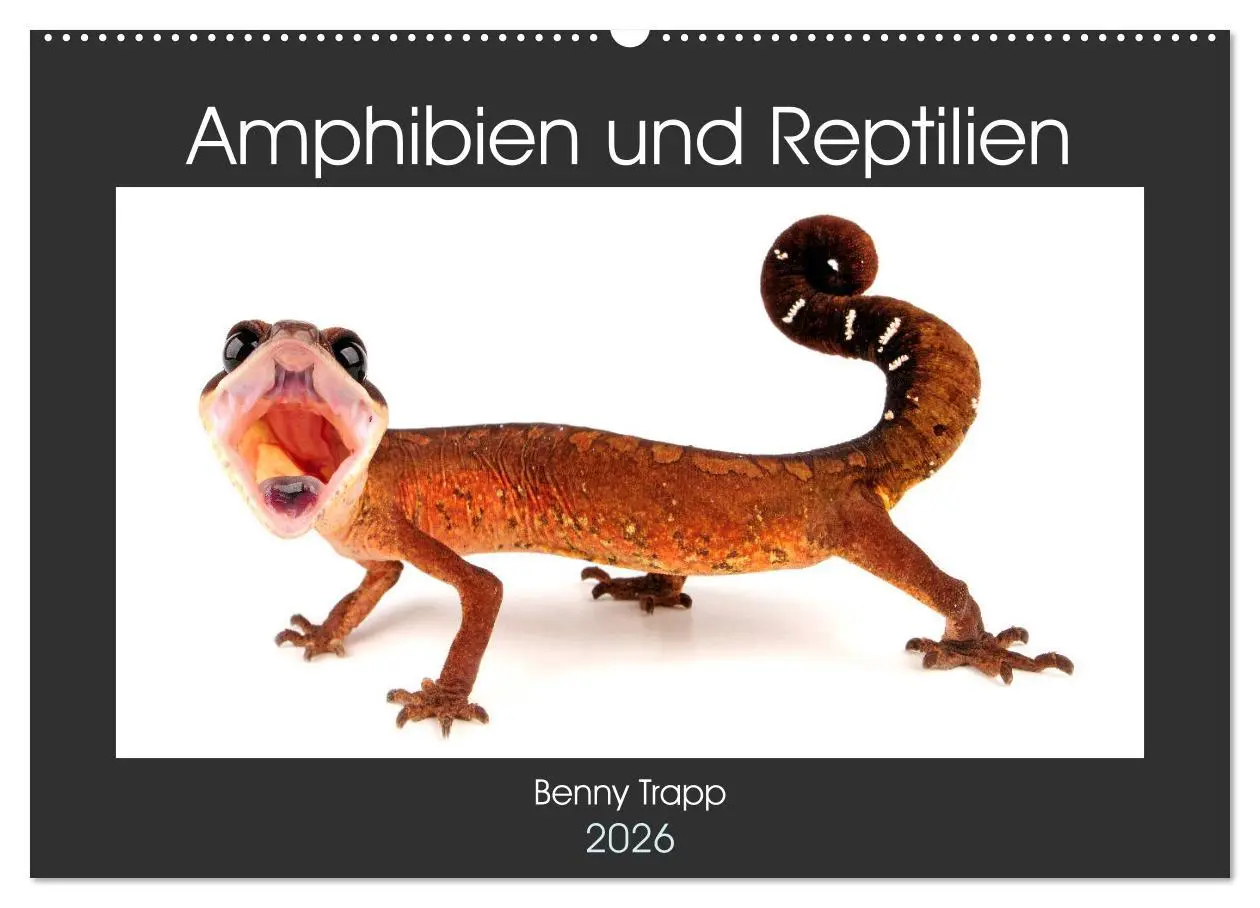 Cover: 9783457874820 | Amphibien und Reptilien (Wandkalender 2026 DIN A2 quer), CALVENDO...