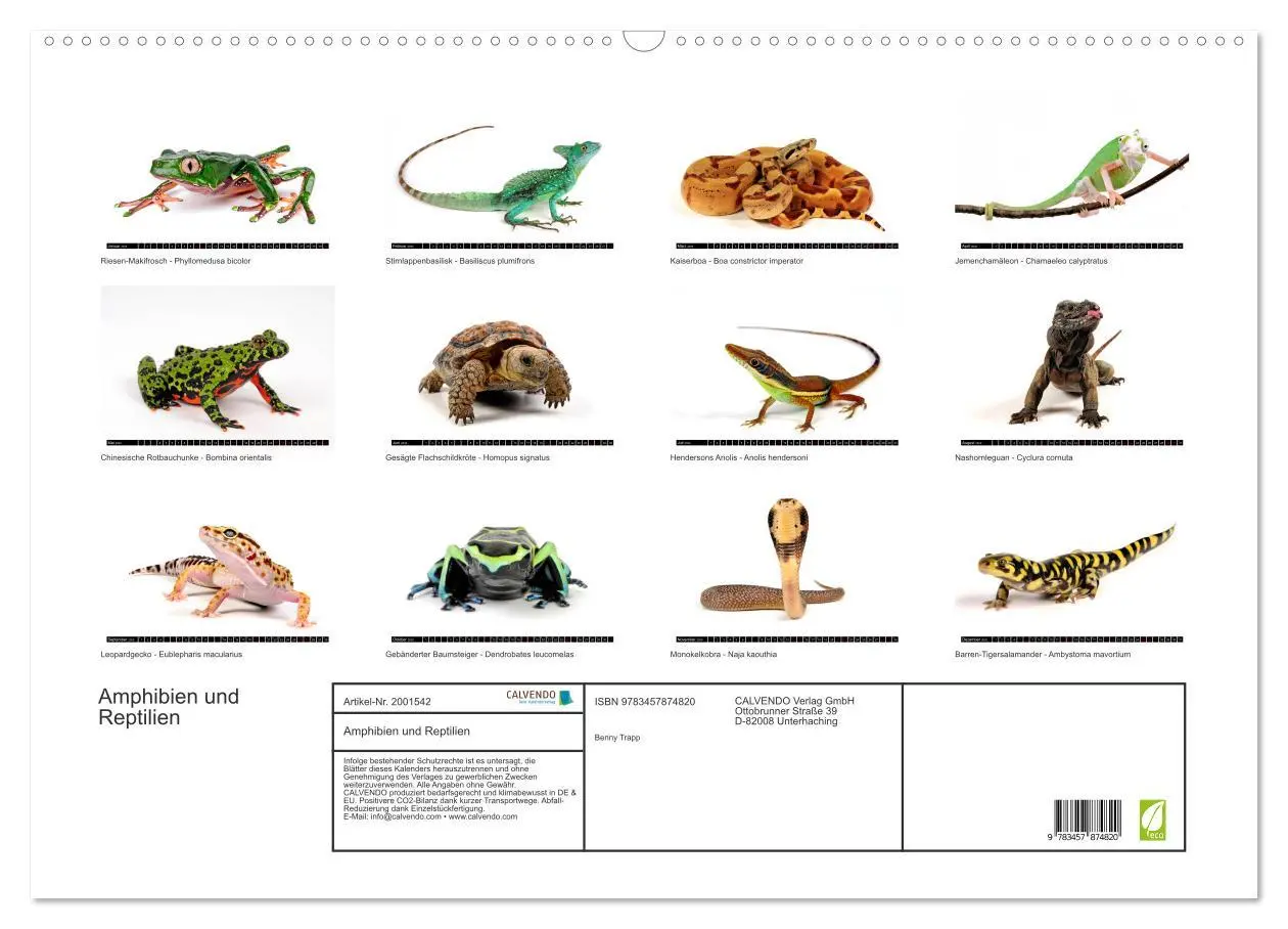 Bild: 9783457874820 | Amphibien und Reptilien (Wandkalender 2026 DIN A2 quer), CALVENDO...