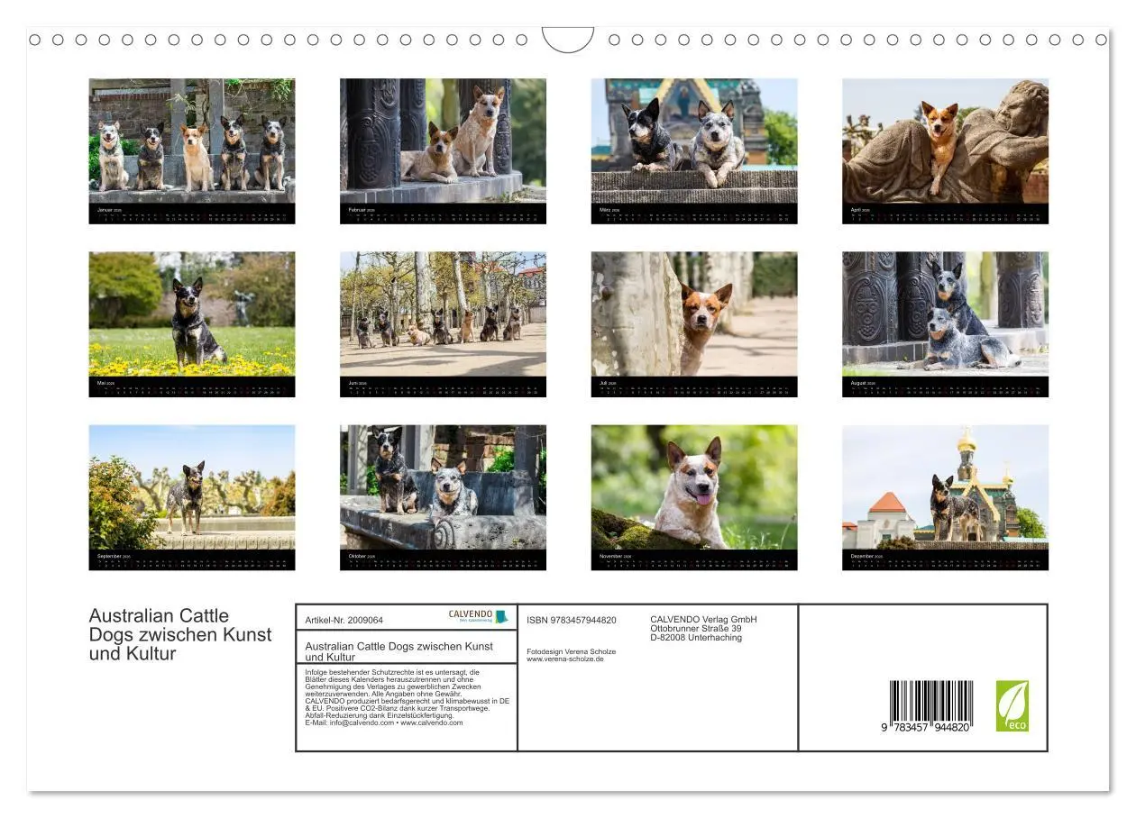 Bild: 9783457944820 | Australian Cattle Dogs zwischen Kunst und Kultur (Wandkalender 2026...