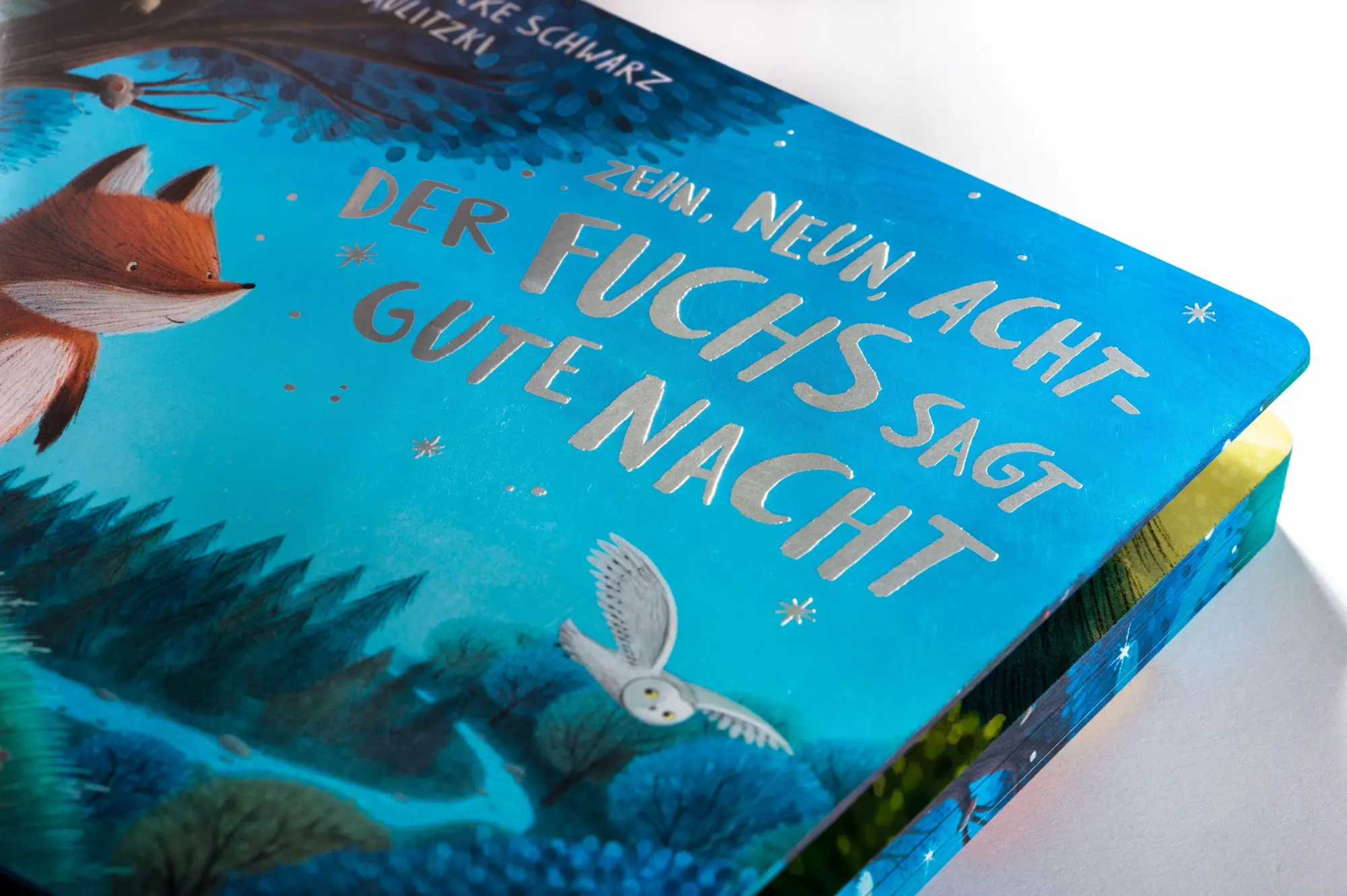 Bild: 9783328304920 | Zehn, neun, acht - der Fuchs sagt gute Nacht | Silvia Schröer (u. a.)