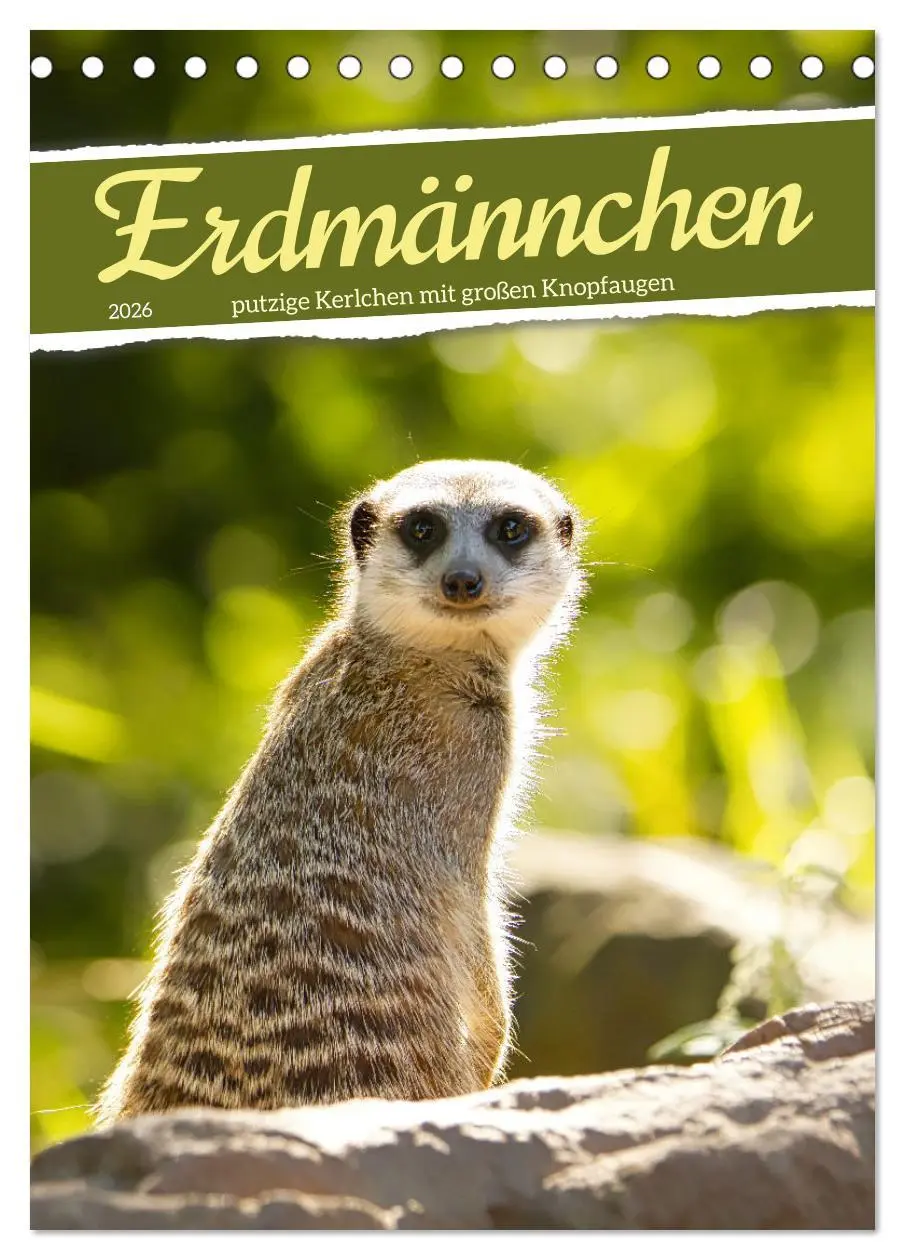 Cover: 9783516334920 | Erdmännchen, putzige Kerlchen mit großen Knopfaugen (Tischkalender...