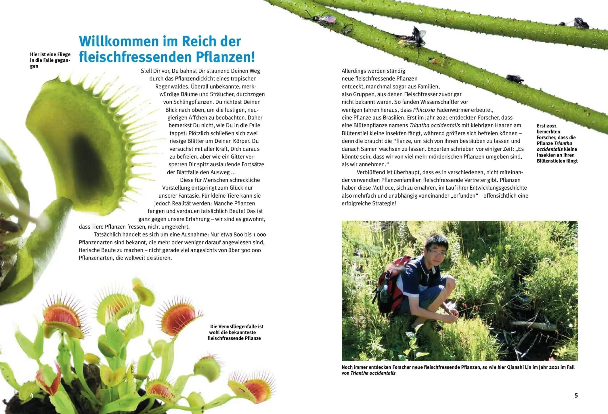 Bild: 9783866594920 | Entdecke fleischfressende Pflanzen | Kriton Kunz | Buch | 64 S. | 2025
