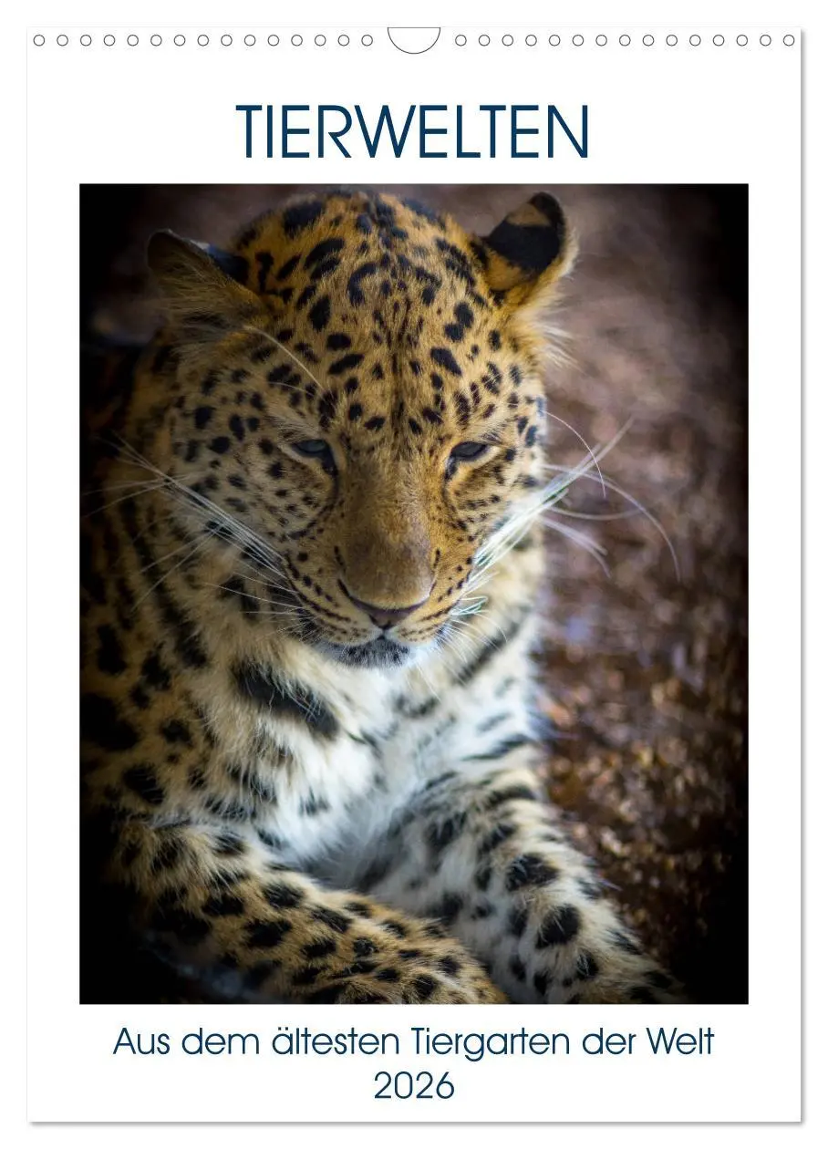 Cover: 9783516395020 | Tierwelten - aus dem ältesten Tiergarten der Welt (Wandkalender...