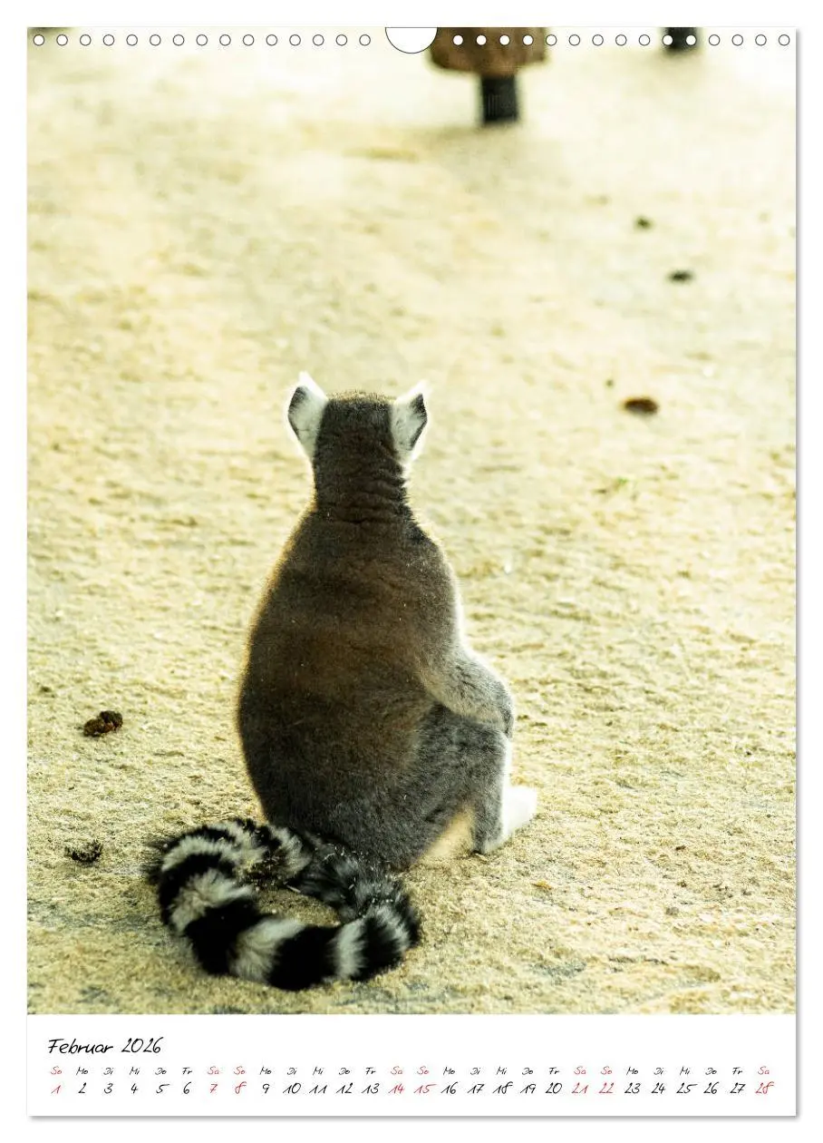 Bild: 9783516395020 | Tierwelten - aus dem ältesten Tiergarten der Welt (Wandkalender...