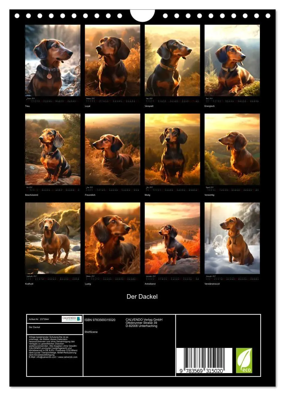 Bild: 9783569315020 | Der Dackel (Wandkalender 2027 DIN A4 hoch), CALVENDO Monatskalender