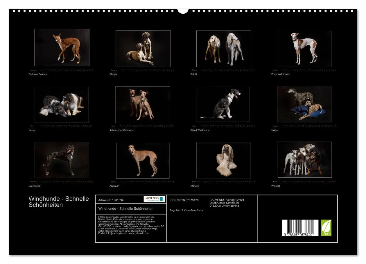Bild: 9783457675120 | Windhunde - Schnelle Schönheiten (hochwertiger Premium Wandkalender...