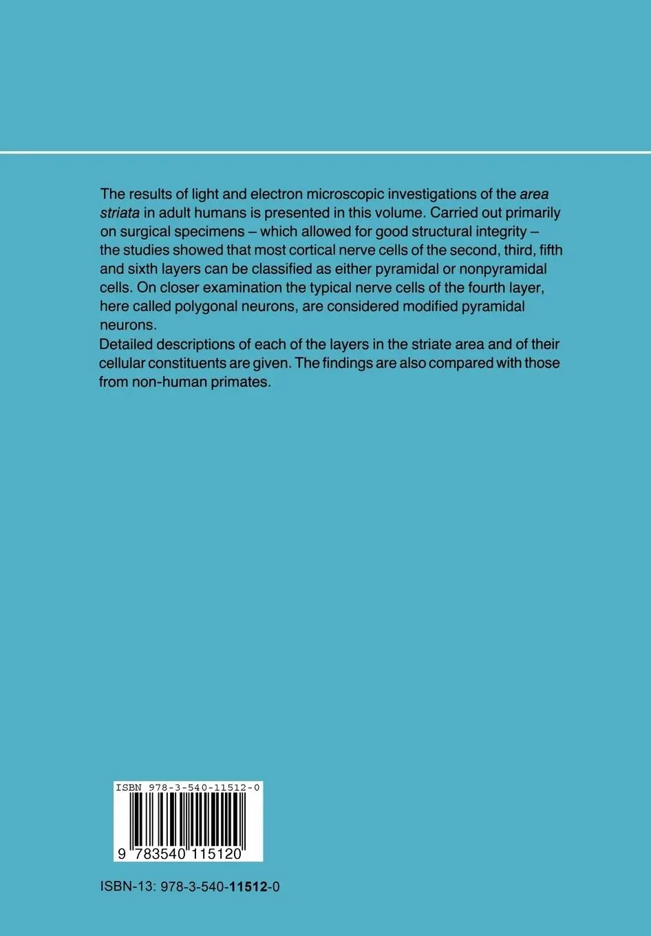 Rückseite: 9783540115120 | On the Structure of the Human Striate Area | E. Braak | Taschenbuch