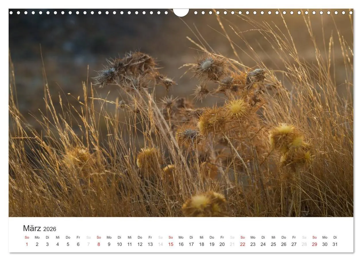 Bild: 9783516205220 | Kreta. Im Süden (Wandkalender 2026 DIN A3 quer), CALVENDO...