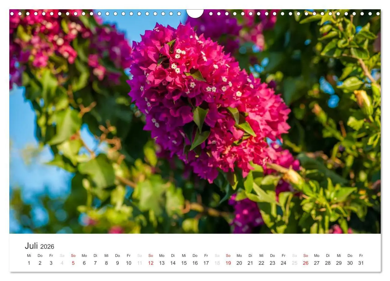 Bild: 9783516205220 | Kreta. Im Süden (Wandkalender 2026 DIN A3 quer), CALVENDO...