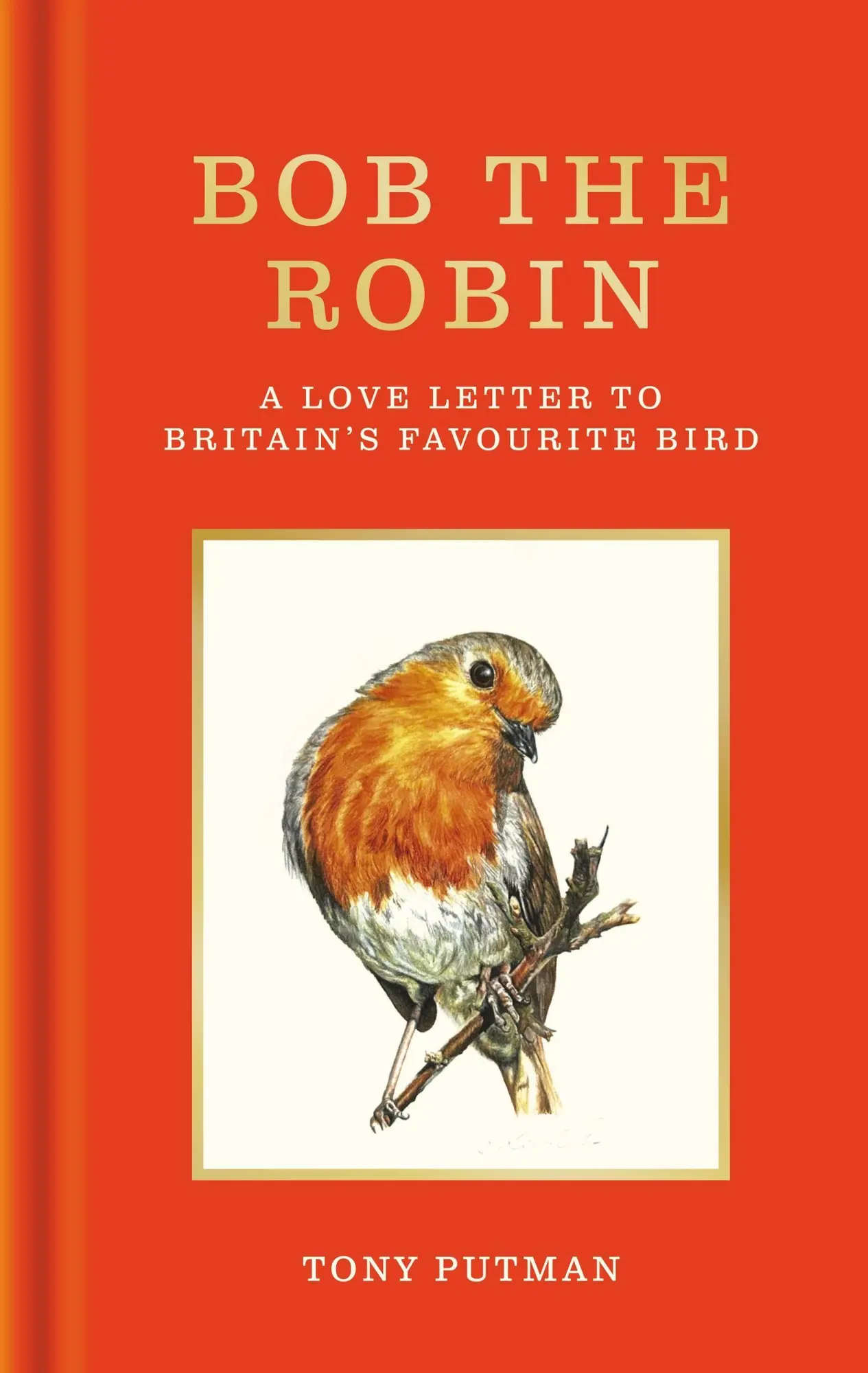 Cover: 9781856755320 | Bob the Robin | A love letter to Britain's favourite bird | Putman