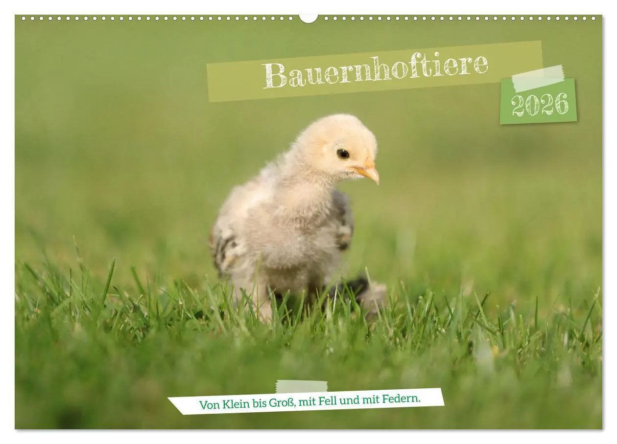 Cover: 9783457585320 | Bauernhoftiere - Von Klein bis Groß, mit Fell und mit Federn....