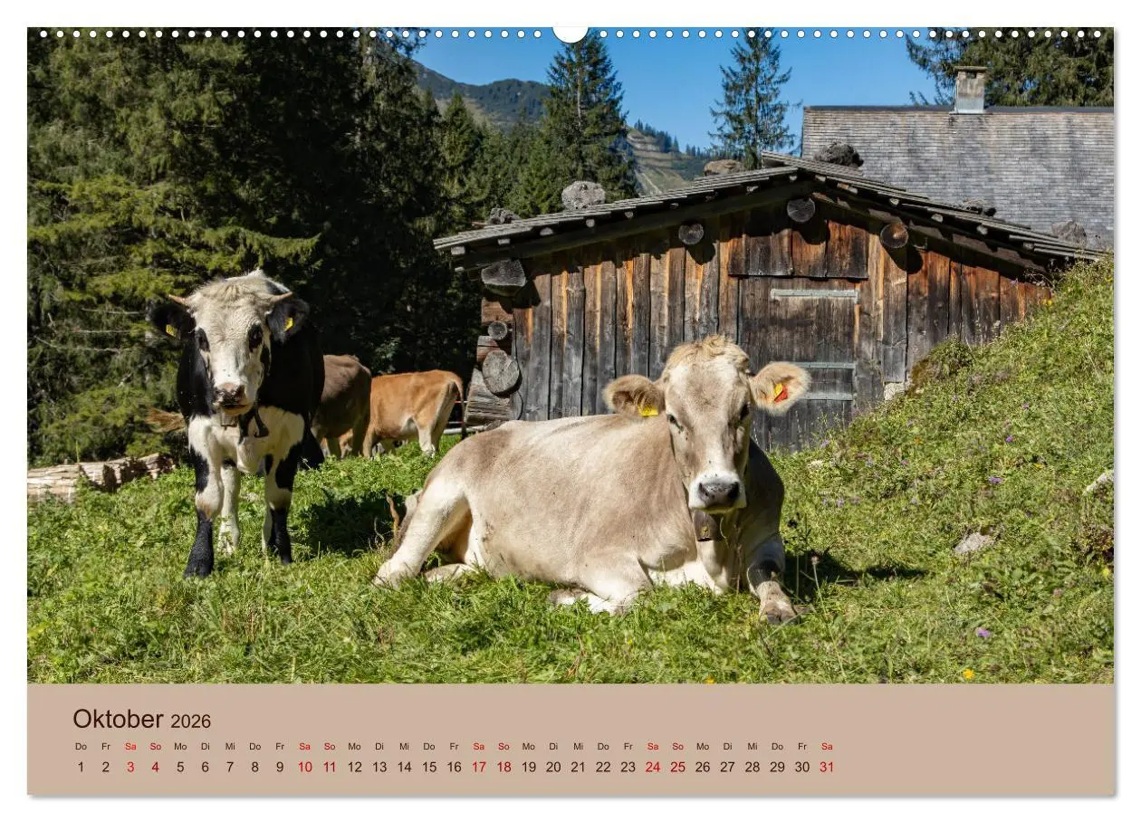 Bild: 9783457585320 | Bauernhoftiere - Von Klein bis Groß, mit Fell und mit Federn....