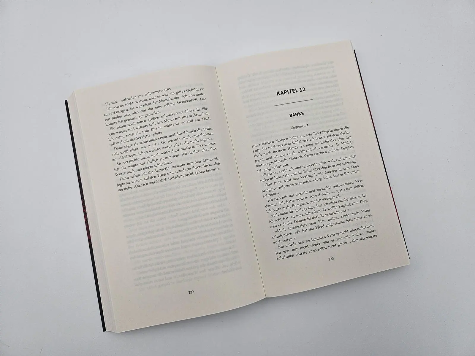 Bild: 9783492065320 | Hideaway - Verborgenes Verlangen | Penelope Douglas | Taschenbuch