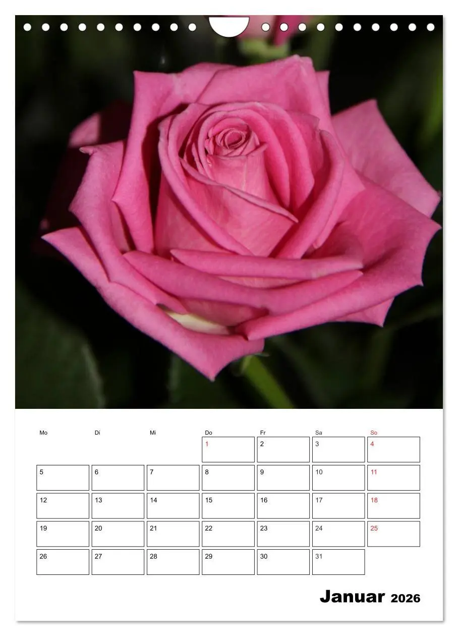 Bild: 9783516435320 | Zauberhafte Rosen (Wandkalender 2026 DIN A4 hoch), CALVENDO...