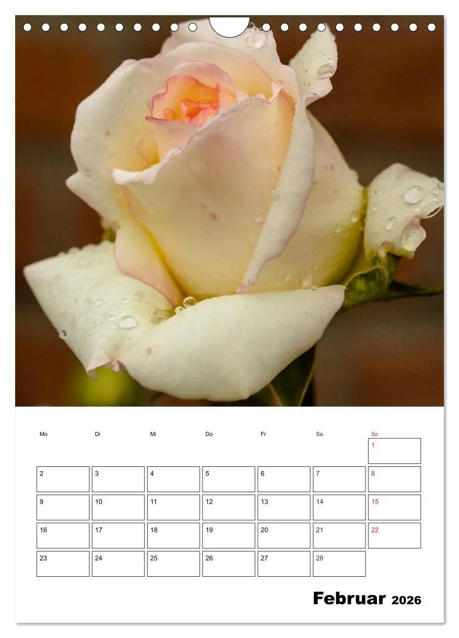 Bild: 9783516435320 | Zauberhafte Rosen (Wandkalender 2026 DIN A4 hoch), CALVENDO...