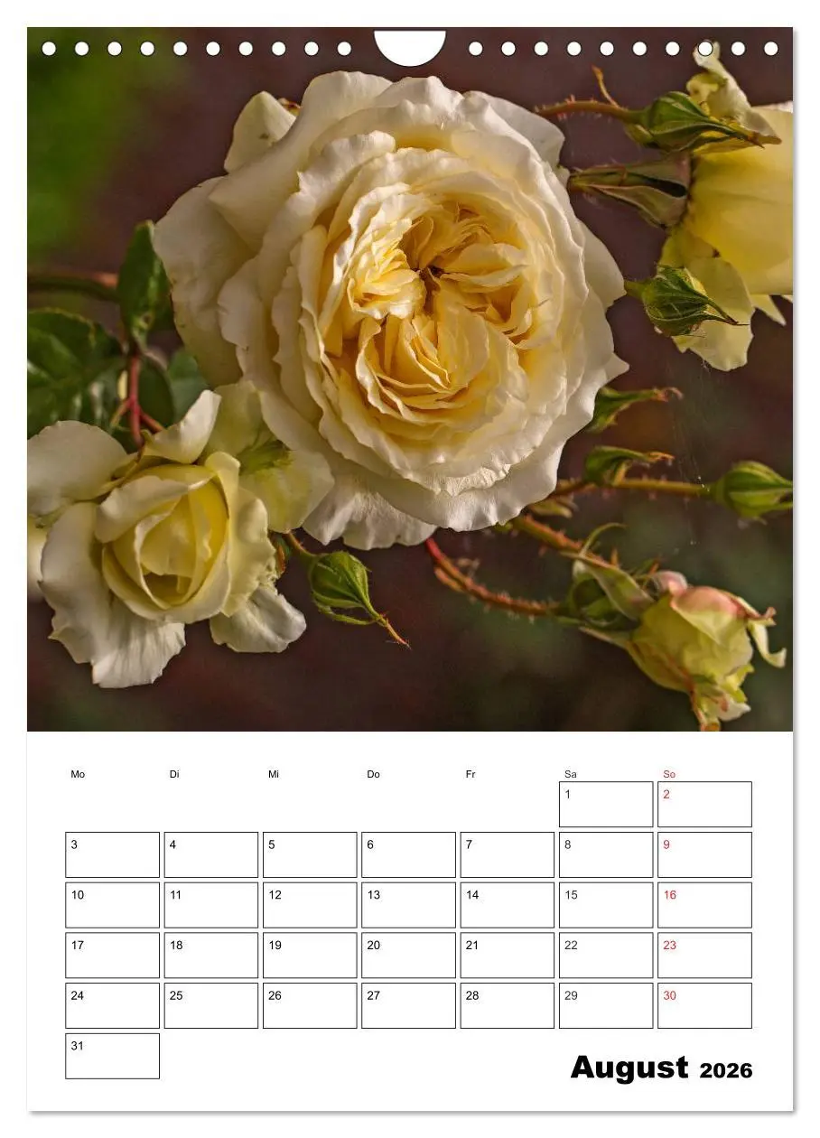 Bild: 9783516435320 | Zauberhafte Rosen (Wandkalender 2026 DIN A4 hoch), CALVENDO...