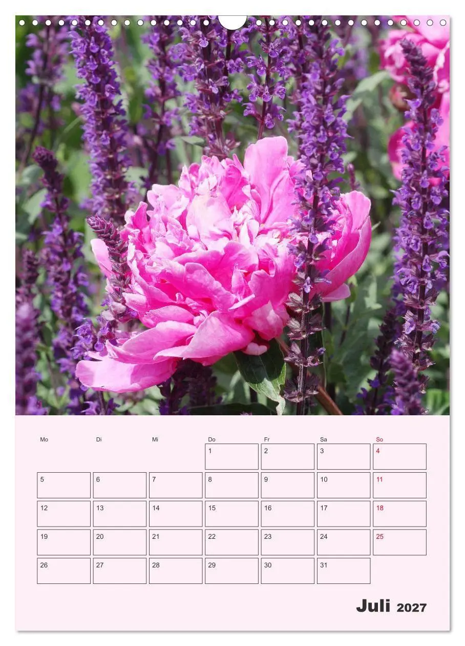 Bild: 9783569695320 | Pfingstrosen Rosen ohne Dornen (Wandkalender 2027 DIN A3 hoch),...
