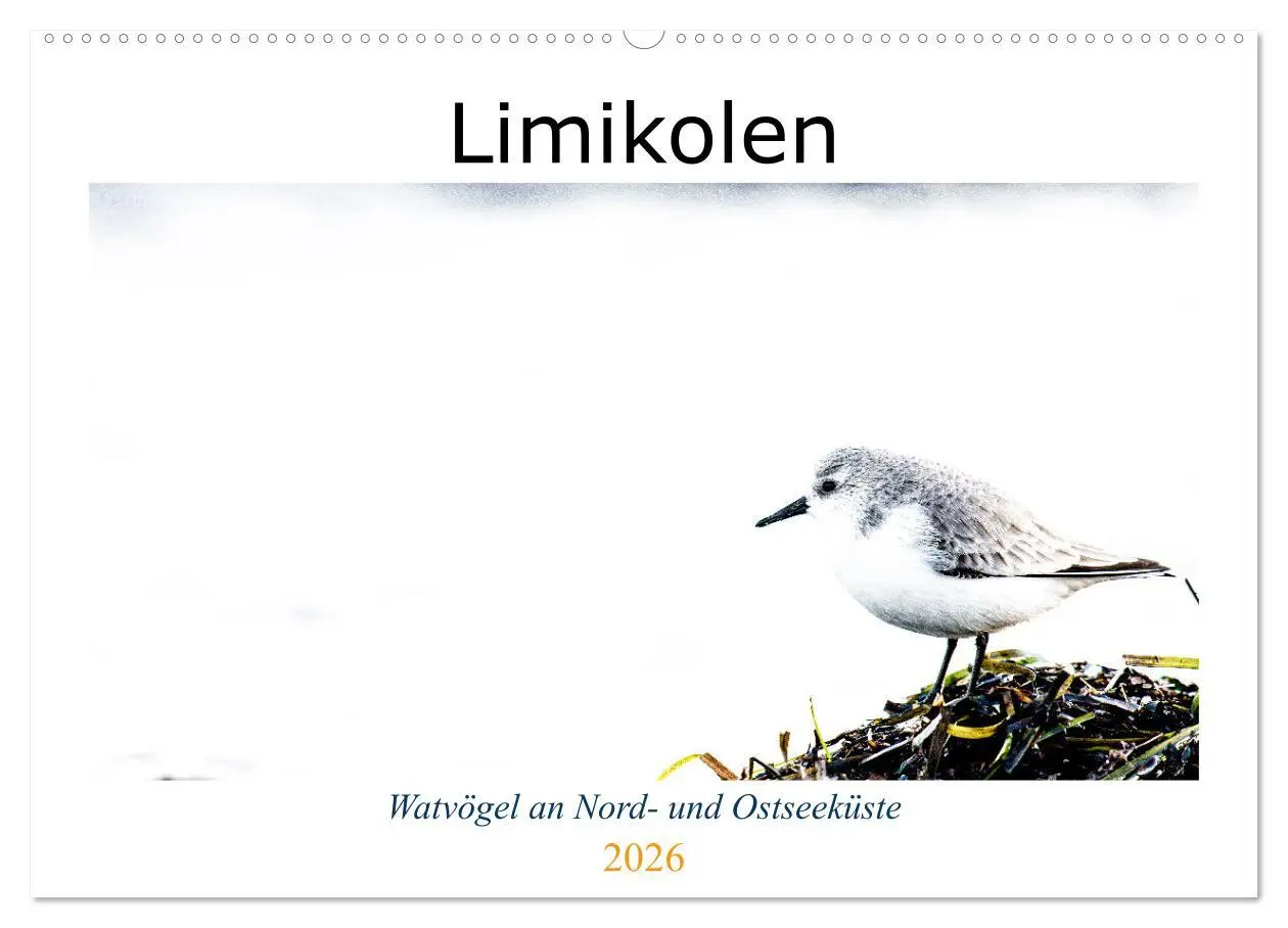 Cover: 9783457645420 | Limikolen - Watvögel an Nord- und Ostseeküste (Wandkalender 2026...